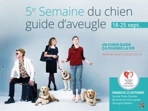 FFAC chiens guides - agence Cito 2016